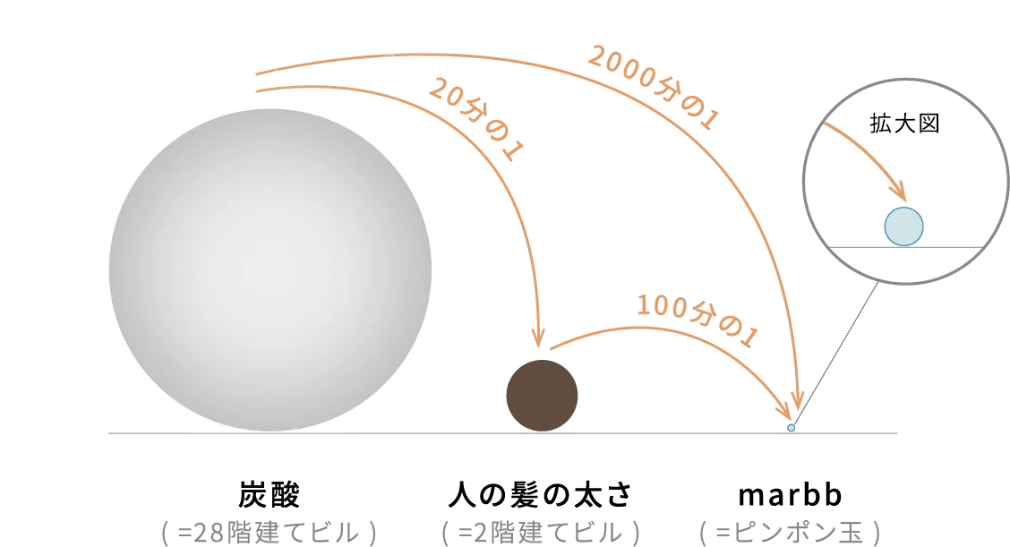 炭酸、人の髪、marbbの泡の大きさを比べた公式図解