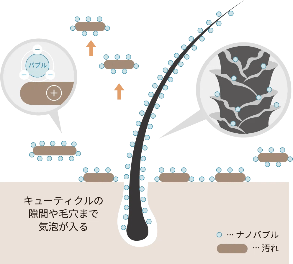 ナノバブルが髪と汚れに作用する仕組みの公式図解